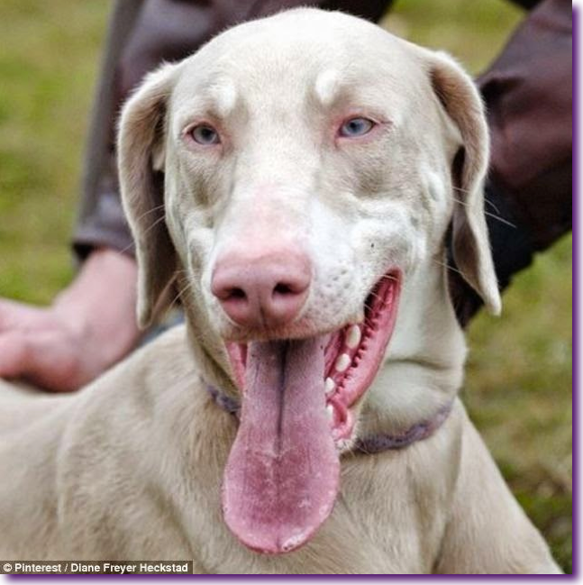 Captura de pantalla 2014-06-30 a la(s) 13.24.23