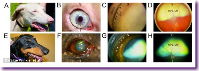 Captura de pantalla 2014-06-30 a la(s) 13.24.34