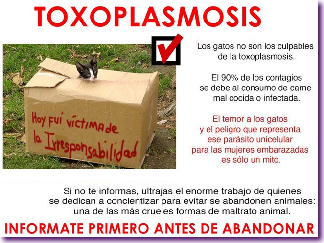toxoplasmosis
