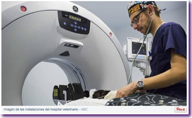 valencia-primer-hospital-veterinario-cancer